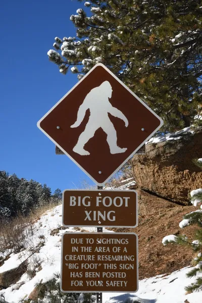 DSC_4865 (Large).JPG